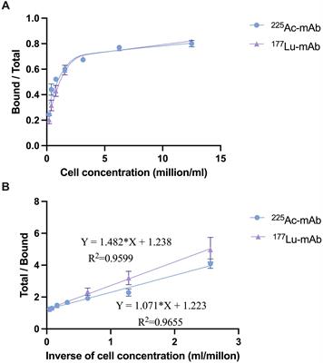 Radioimmunotherapy combating biofilm-associated infection in vitro